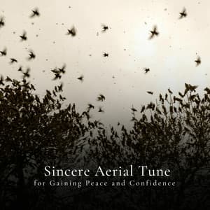 * Sincere Aerial Tune for Gaining Peace and Confidence * - Calm Singing Birds Zone