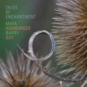 Tales of Enchantment - Barry Guy