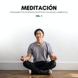 Meditación: Pensamientos Internos Pacíficos Con Música Ambiental Vol. 1 - Pajaros Tropicales