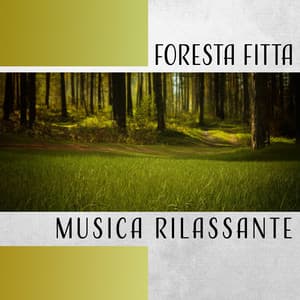 Foresta fitta - Musica Rilassante Maestro