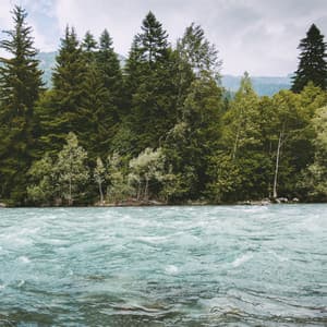 Harmony - Uyku Müzik