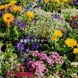 温室でリラクゼーション - Chill Out Jazz Radio