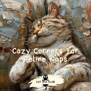 Cozy Corners for Feline Naps: A Relaxing Retreat - Cat Spa Club