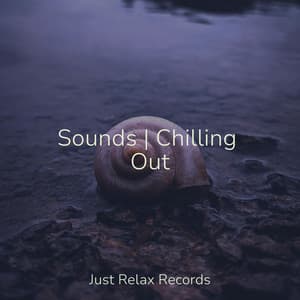 Sounds | Chilling Out - Dog Music
