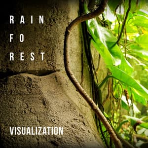 Rainforest Visualization: Ideal for Deep Sleep, Relaxation Techniques, Spa Massage, Pregnancy Yoga, Exam Study - Forest Hills Music Universe