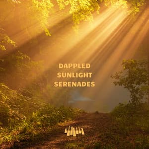 Dappled Sunlight Serenades - Piano Music Spa