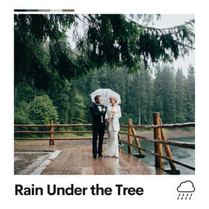 Rain Under the Tree - Relaxing Rain