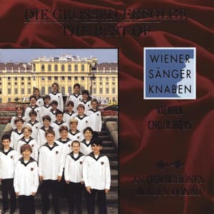 Die großen Erfolge - Vienna Boys' Choir