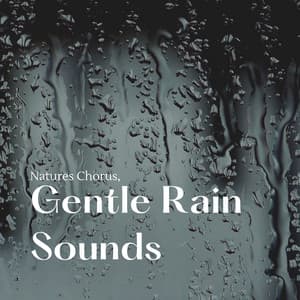 Natures Chorus, Gentle Rain Sounds - The Rain Factory