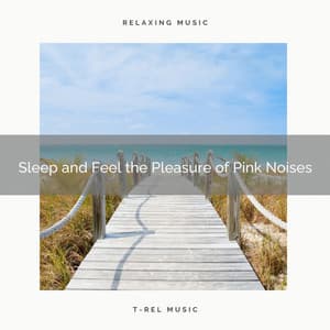 Sleep and Feel the Pleasure of Pink Noises - Baby Noise Machine