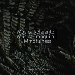 Música Relajante | Música Tranquila | Mindfulness - Sleep Sound Library