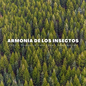 Armonía De Los Insectos: Feliz Y Tranquilo Para Yoga Y El Bienestar - Grillos Cantantes