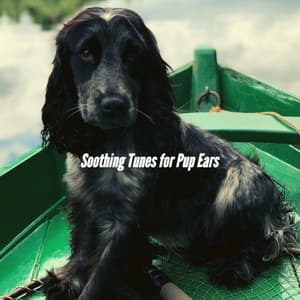Soothing Tunes for Pup Ears - Relajado Musica Relajante para Perros