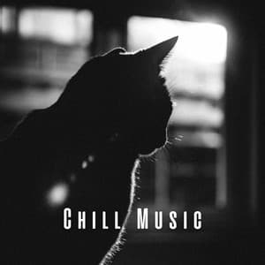 Chill Music: Melodic Moments with Cats - Easy Listening Afternoon Music