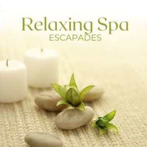 Relaxing Spa Escapades: Wellness Bliss Melodies, Massage Therapy, Spa Serenity - Relaxing Spa Music Zone