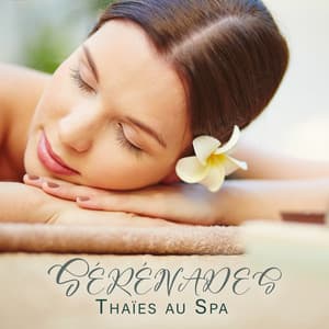 Sérénades Thaïes au Spa: Massage Apaisant et Traitements Relaxants - Soin Apaisant de Massage