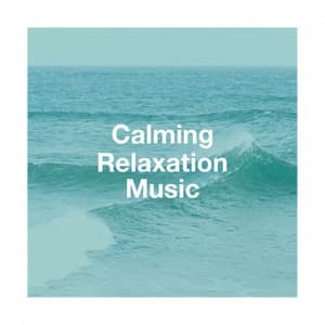 Calming Relaxation Music - Best Relaxation Music