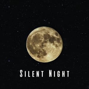 Silent Night: Piano for Sleep Wellness - faint echoes