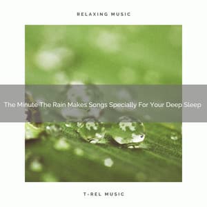 The Minute The Rain Makes Songs Specially For Your Deep Sleep - White Noise Hour