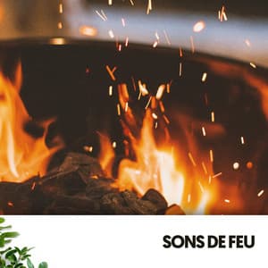 Sons de Feu : Mélodies Ardentes - Ruido Blanco Hart