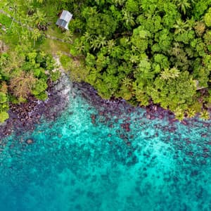 Winter Calm Melodies | Delightful Chilling Out - Sounds of Nature Relaxation