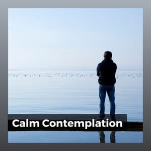 Calm Contemplation - Calm Music for Studying