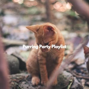 Purring Party Playlist - Música de la Oficina