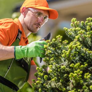 Jazz Piano Work Serenade: Music for Focused Labor - Mozartian Pianist