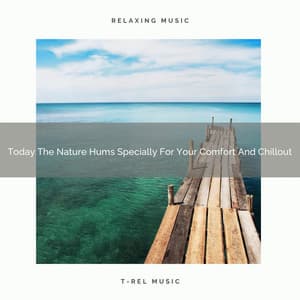 Today The Nature Hums Specially For Your Comfort And Chillout - Astral Noise