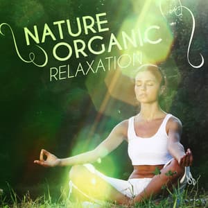 Nature: Organic Relaxation - Soundscapes