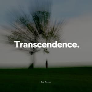 Transcendence - Ambient 11