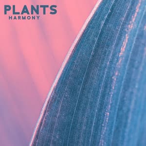 Plants Harmony: Violin Music for Plants with Sea Sounds for The Best Stimulation for Plant Growth & Happiness - Calm Music Zone