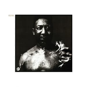 After The Rain - Muddy Waters