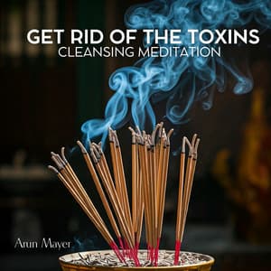 Get Rid of the Toxins: Cleansing Meditation - Arun Mayer
