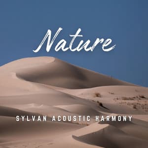 Whispers of Wood: Acoustic Soundscapes - Calm Stress Relief