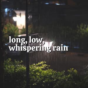 Long, Low, Whispering Rain - Rain Sounds FX