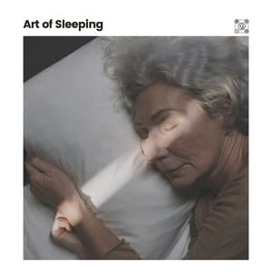Art of Sleeping - Sleeping Baby