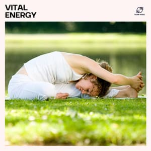 Vital Energy - Namaste