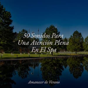 50 Sonidos Para Una Atención Plena En El Spa - Rockabye Lullaby