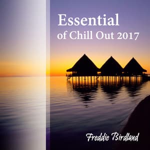 Essential of Chill Out 2017 - Freddie Birdland