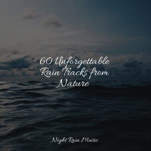 60 Unforgettable Rain Tracks from Nature - Soothing Nature Sounds