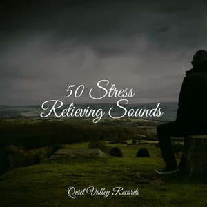 50 Stress Relieving Sounds - Dr. Meditation