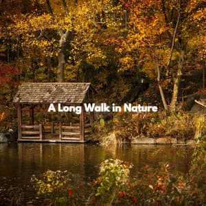 A Long Walk in Nature - Música para Tiendas Minoristas