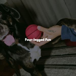 Four-legged Fun - Modern Jazz Fusion