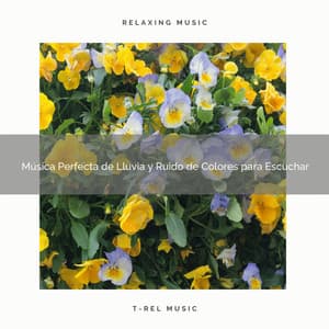 Música Perfecta de Lluvia y Ruido de Colores para Escuchar - Ruido Para Bebé