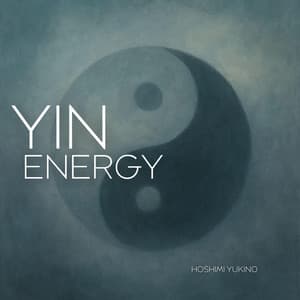 Yin Energy - Hoshimi Yukino