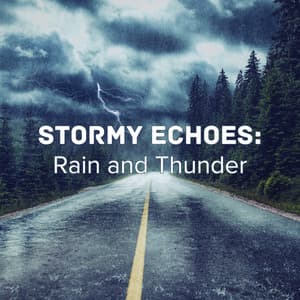 Stormy Echoes: Rain and Thunder - The Sound Of The Rain