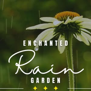 Enchanted Rainfall: Serenity in Drops - Rain Sounds Nature Collection