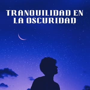Tranquilidad En La Oscuridad - Colores de la ciudad de Lofi