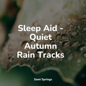 Sleep Aid - Quiet Autumn Rain Tracks - Mother Nature Sound FX